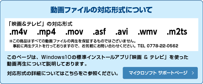 動画ファイルの対応形式