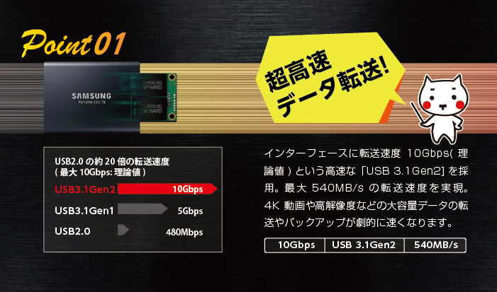 ssdpoint01