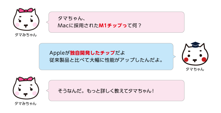 教えてタマちゃん
