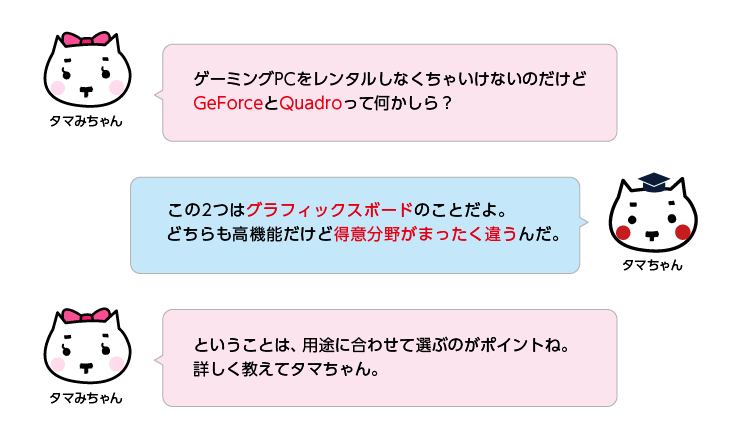 タマちゃん通信
