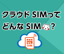 クラウドSIMってどんなSIM？