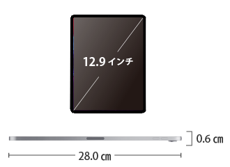 iPad Pro 第5世代 12.9インチ 256GB Wi-Fi サイズ