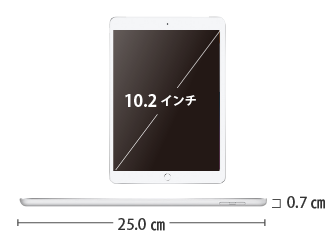 Apple iPad 第8世代 10.2インチ 32GB（SIMカードセット・標準10GB/月） サイズ