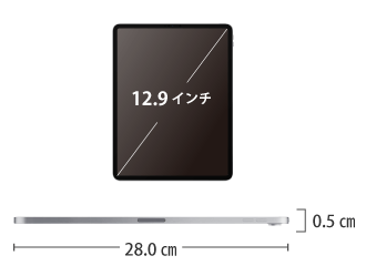 Apple iPad Pro 第3世代 12.9インチ 256GB（SIMカードセット・標準10GB/月） サイズ