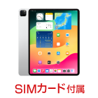 Apple iPad Pro 第4世代 12.9インチ 256GB （SIMカードセット・標準10GB/月）