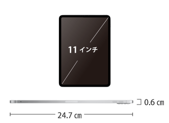 Apple iPad Pro 第4世代 11インチ 256GB（SIMカードセット・標準10GB/月） サイズ