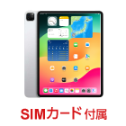 Apple iPad Pro 第5世代 12.9インチ 256GB（SIMカードセット・標準10GB/月）
