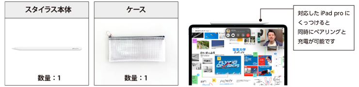 Apple Pencil Pro [MX2D3ZA/A] 付属品の一覧